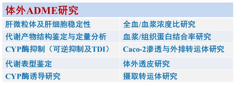 体外ADME研究.jpg